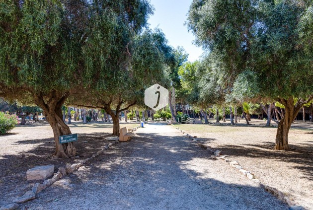 Segunda mano - Apartamento / piso -
Torrevieja - Acequion