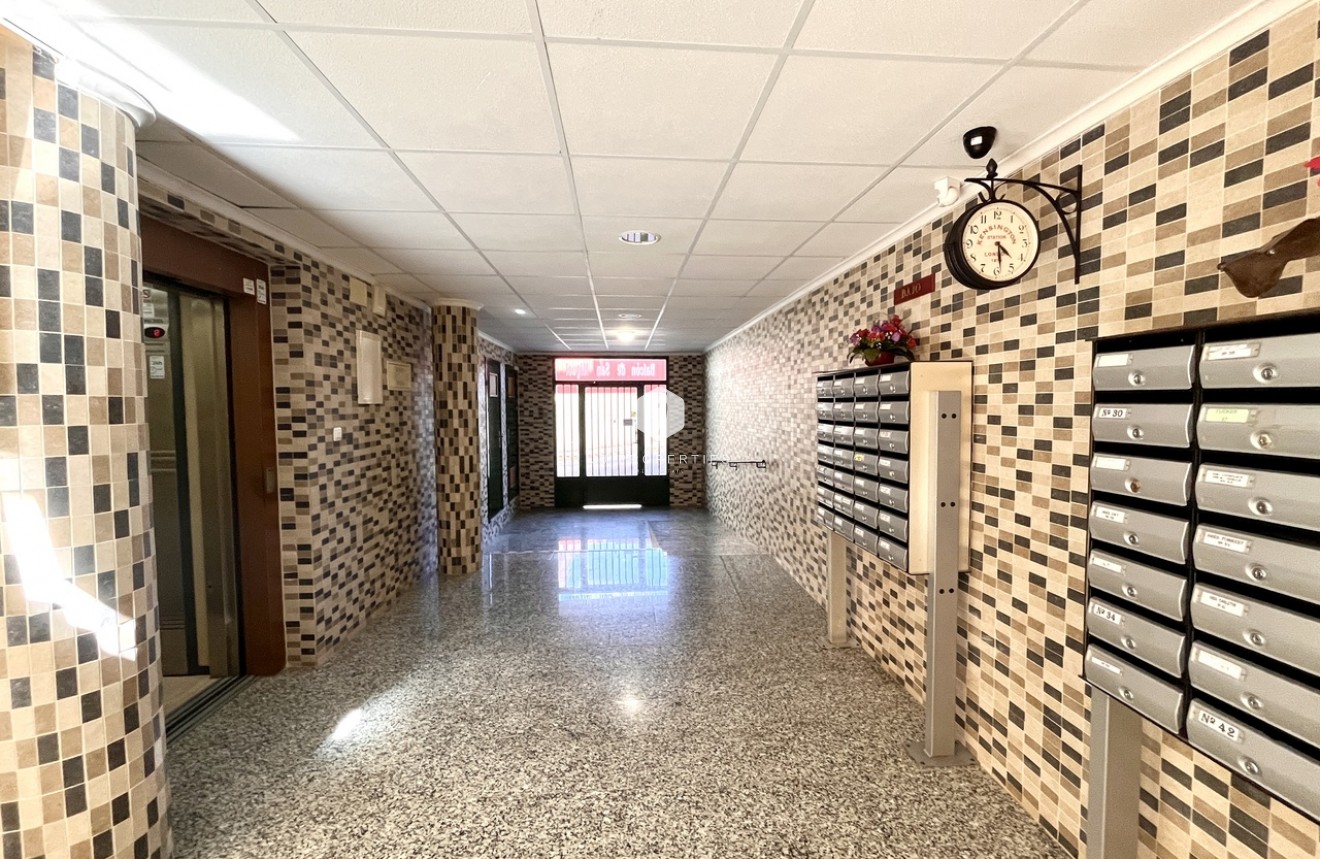 Segunda mano - Apartamento / piso -
San Miguel de Salinas - Inland