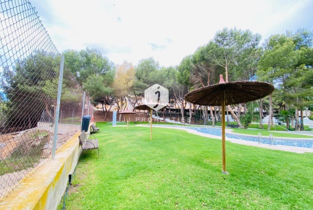 Segunda mano - Apartamento / piso -
Orihuela Costa - Altos De Campoamor