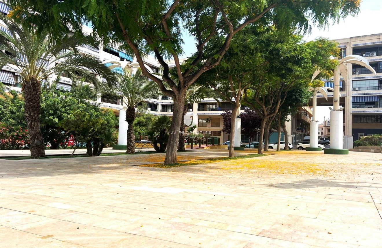 Segunda mano - Apartamento / piso -
Guardamar del Segura - Pueblo