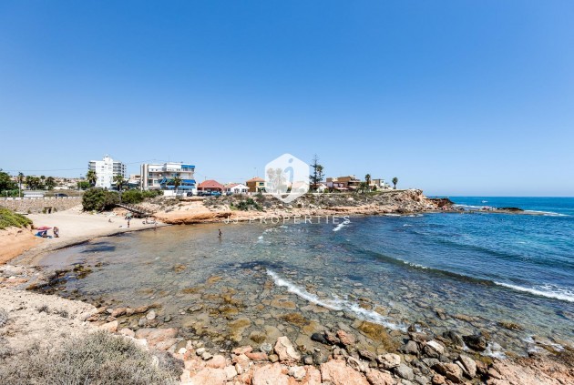 Segunda mano - Bungalow -
Torrevieja - Los Frutales