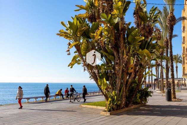 D'occasion - Appartement -
Torrevieja - Costa Blanca