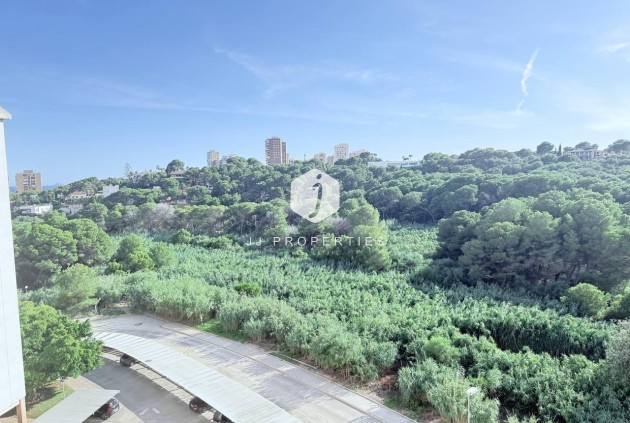 Segunda mano - Apartamento / piso -
Orihuela Costa - Campoamor