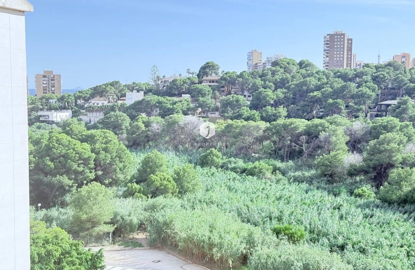 Segunda mano - Apartamento / piso -
Orihuela Costa - Campoamor