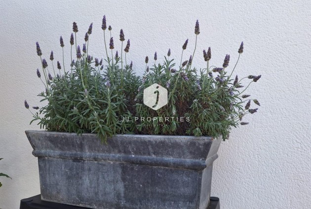 D'occasion - Villa -
Torrevieja - Los Balcones - Los Altos del Edén