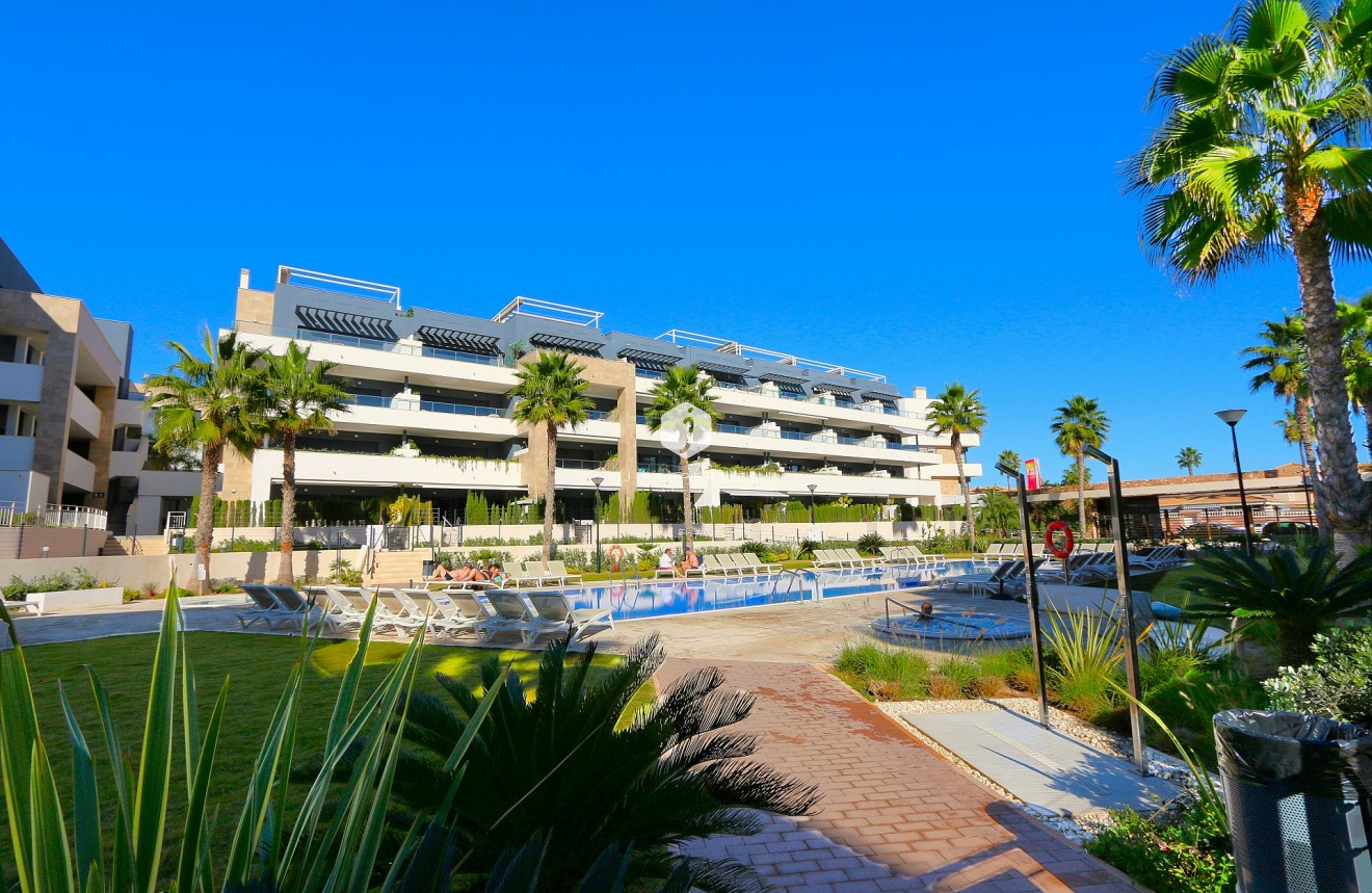 Segunda mano - Apartamento / piso -
Playa Flamenca - Costa Blanca