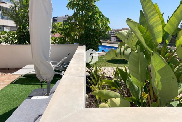 Segunda mano - Apartamento / piso -
Los Dolses - Costa Blanca