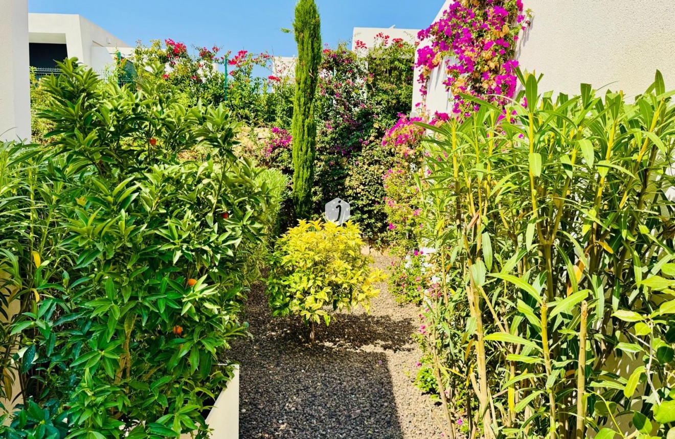 D'occasion - Villa -
Algorfa - Inland