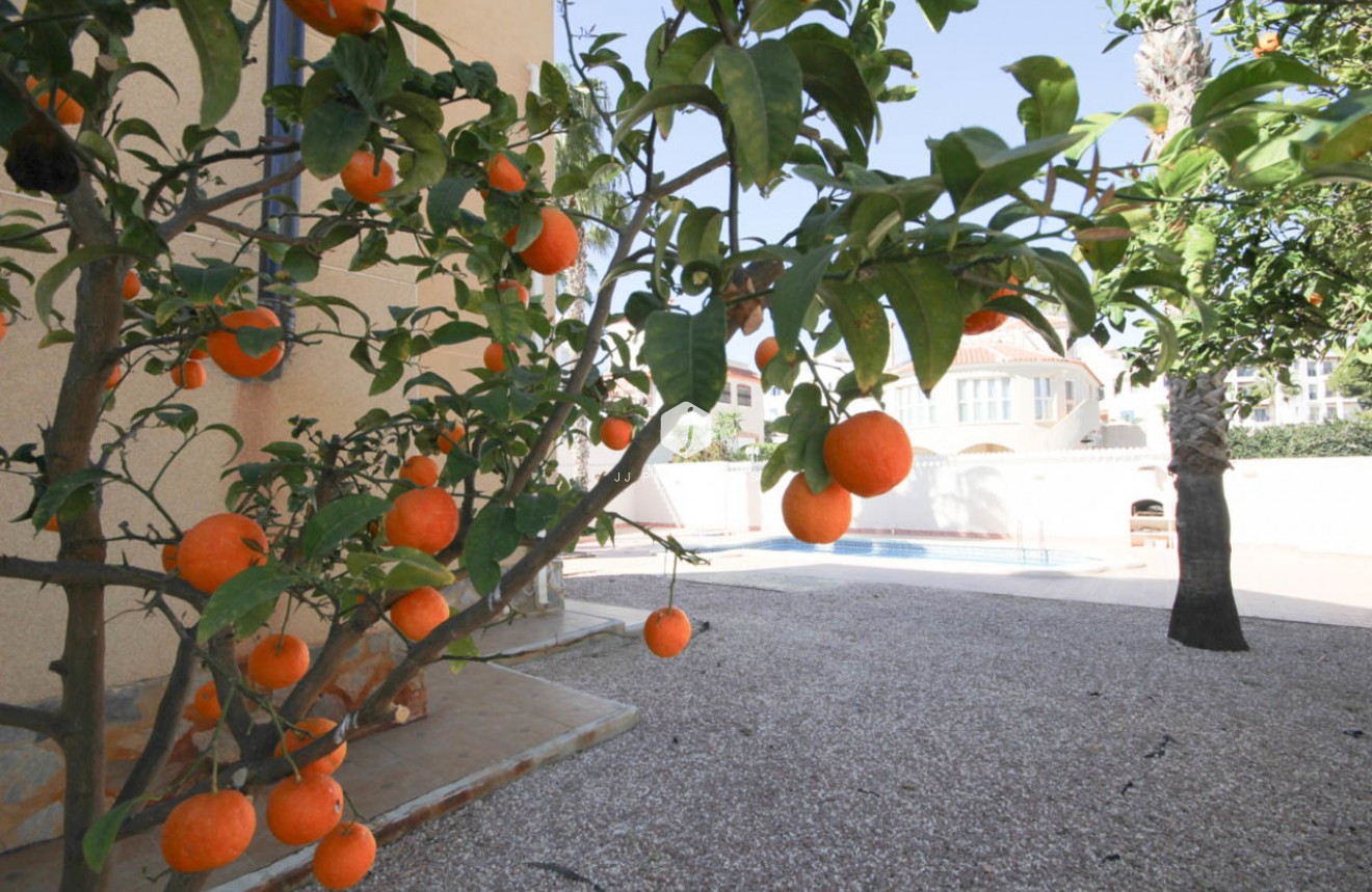 Segunda mano - Villa -
La Zenia - Costa Blanca