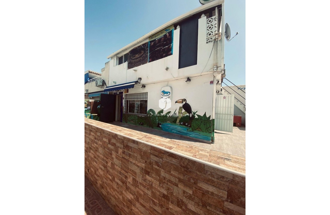 Segunda mano - Chalet -
Torrevieja - Parque Acuático - Sector 25