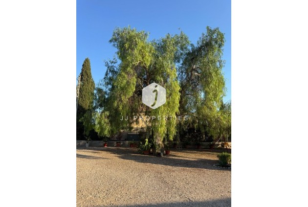 Segunda mano - Villa -
Albatera - Partida Lomas