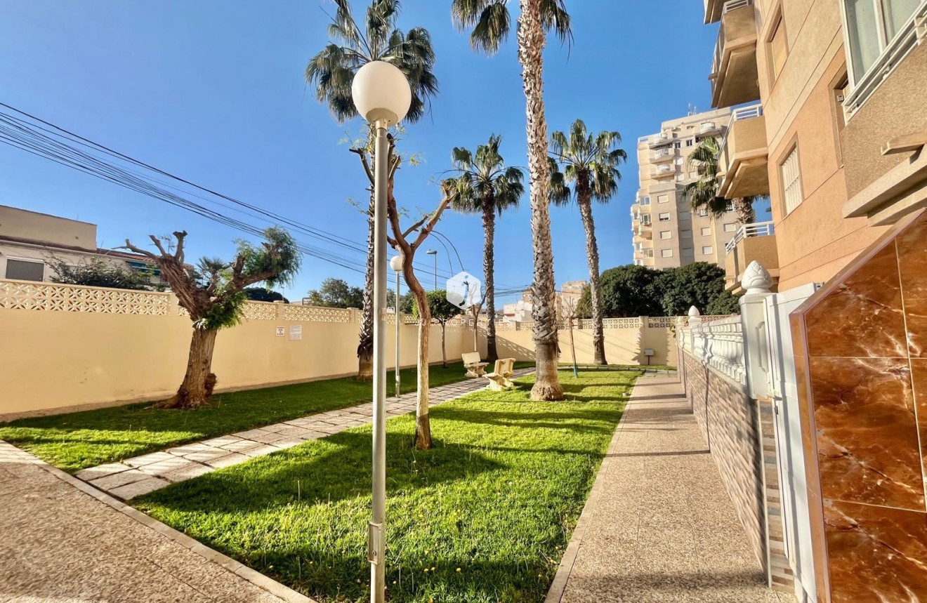 Segunda mano - Apartamento / piso -
Torrevieja - Calas blanca