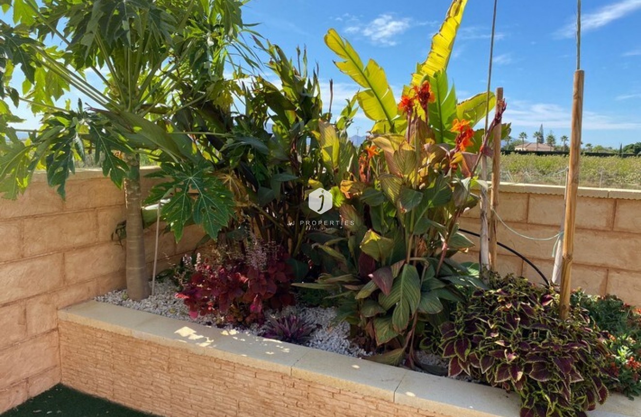 Segunda mano - Casa de campo -
Albatera - Inland