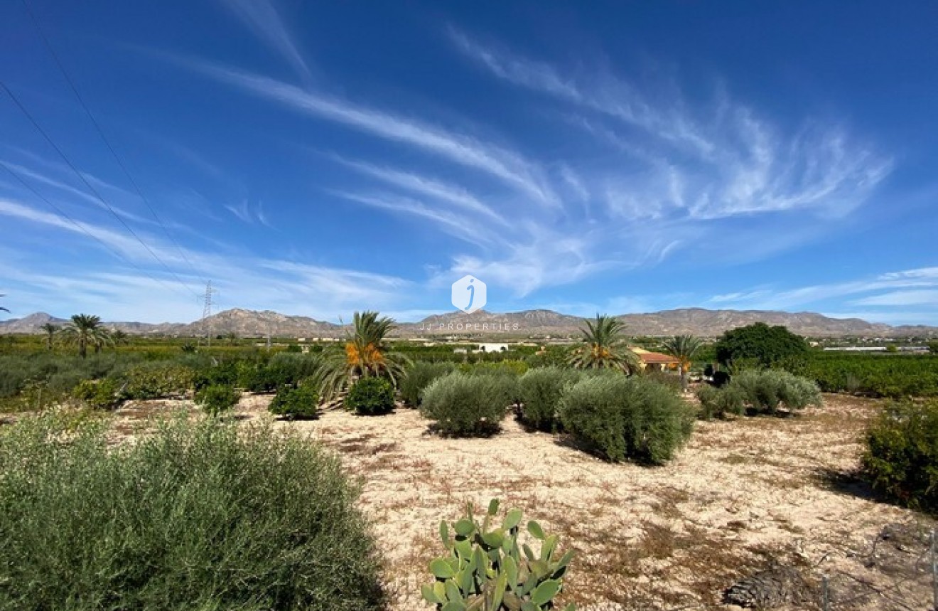 Segunda mano - Casa de campo -
Albatera - Inland