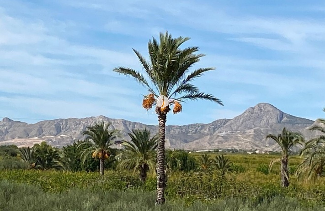 Segunda mano - Casa de campo -
Albatera - Inland