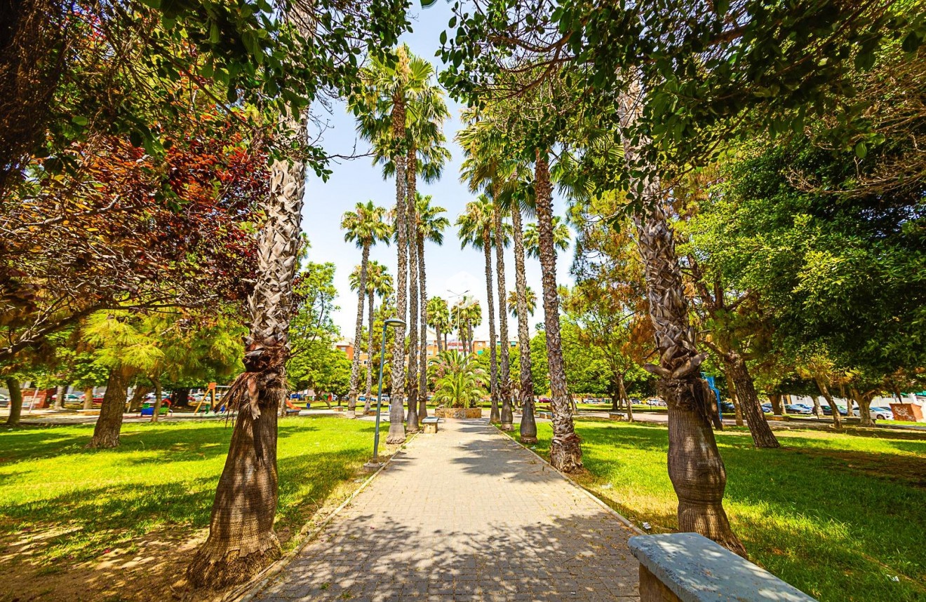Segunda mano - Apartamento / piso -
Torrevieja - Playa de los Naufragos