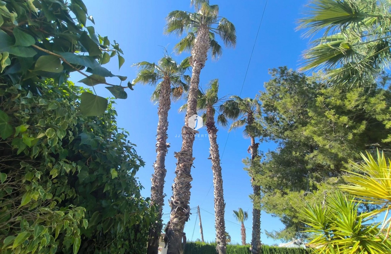 Segunda mano - Villa -
Torrevieja - La siesta