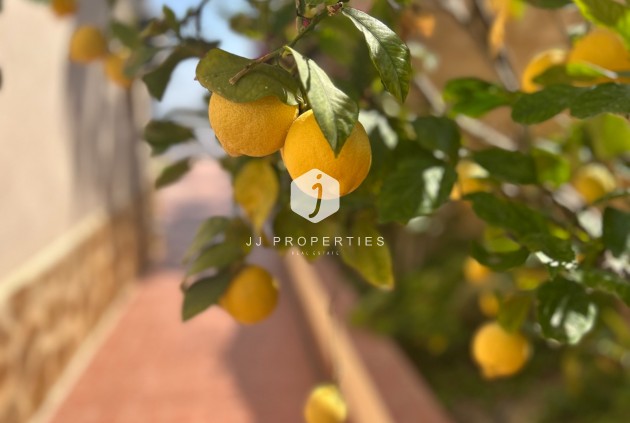 Segunda mano - Villa -
Algorfa - Inland