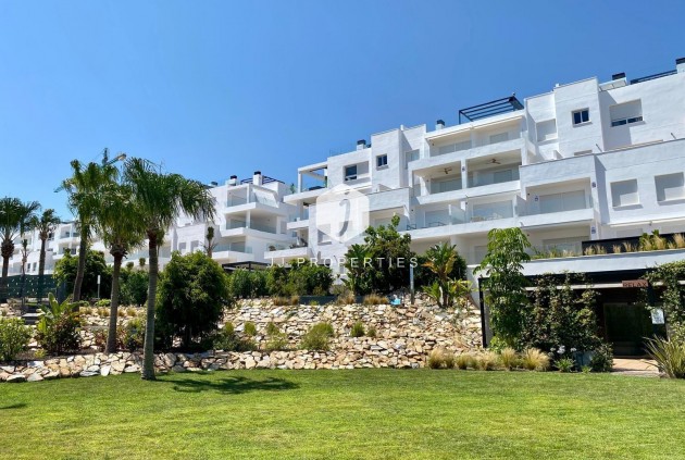 Z drugiej ręki - Daszek -
Torrevieja - Punta prima