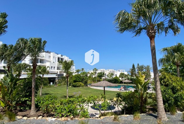 Z drugiej ręki - Daszek -
Torrevieja - Punta prima