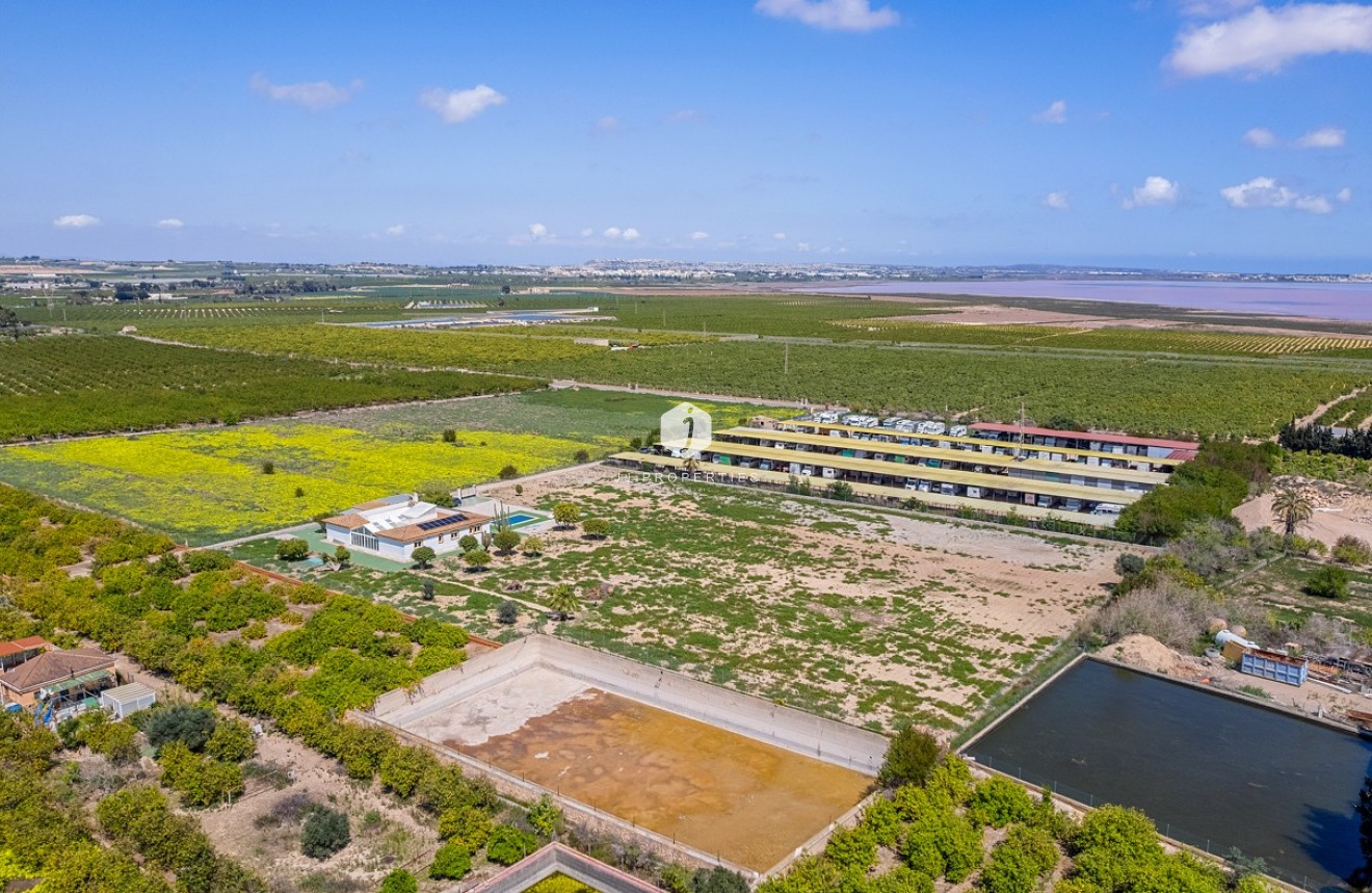 Segunda mano - Villa -
Los Montesinos - Costa Blanca