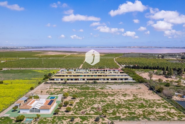 Segunda mano - Villa -
Los Montesinos - Costa Blanca