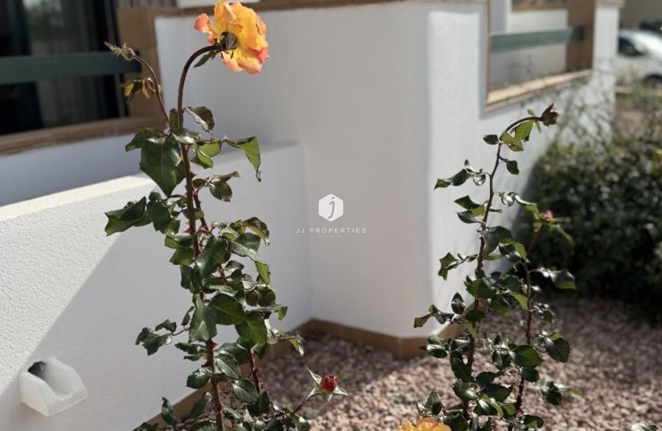 Segunda mano - Apartamento / piso -
Orihuela Costa - Costa Blanca