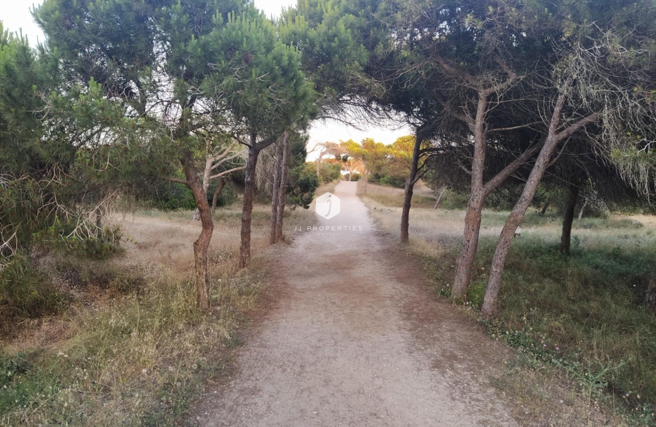 Segunda mano - Apartamento / piso -
Guardamar del Segura - Pinomar