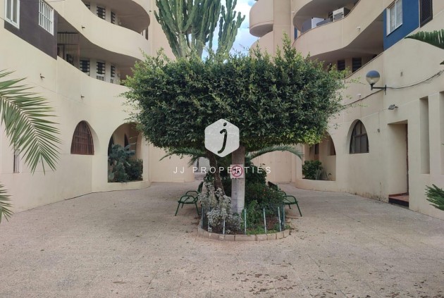 Segunda mano - Apartamento / piso -
Torrevieja - La veleta