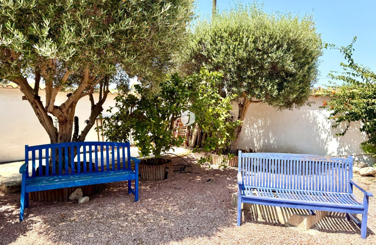 Segunda mano - Villa -
Dolores - Comunidad Valenciana