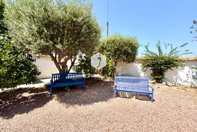 Segunda mano - Villa -
Dolores - Comunidad Valenciana