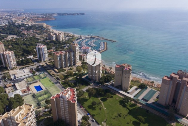 Obra nueva - Apartamento / piso -
Orihuela Costa - Campoamor