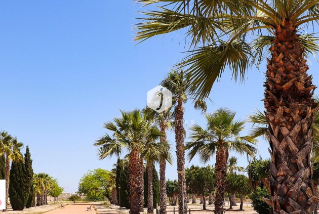 Obra nueva - Villa -
San Fulgencio - La Escuera