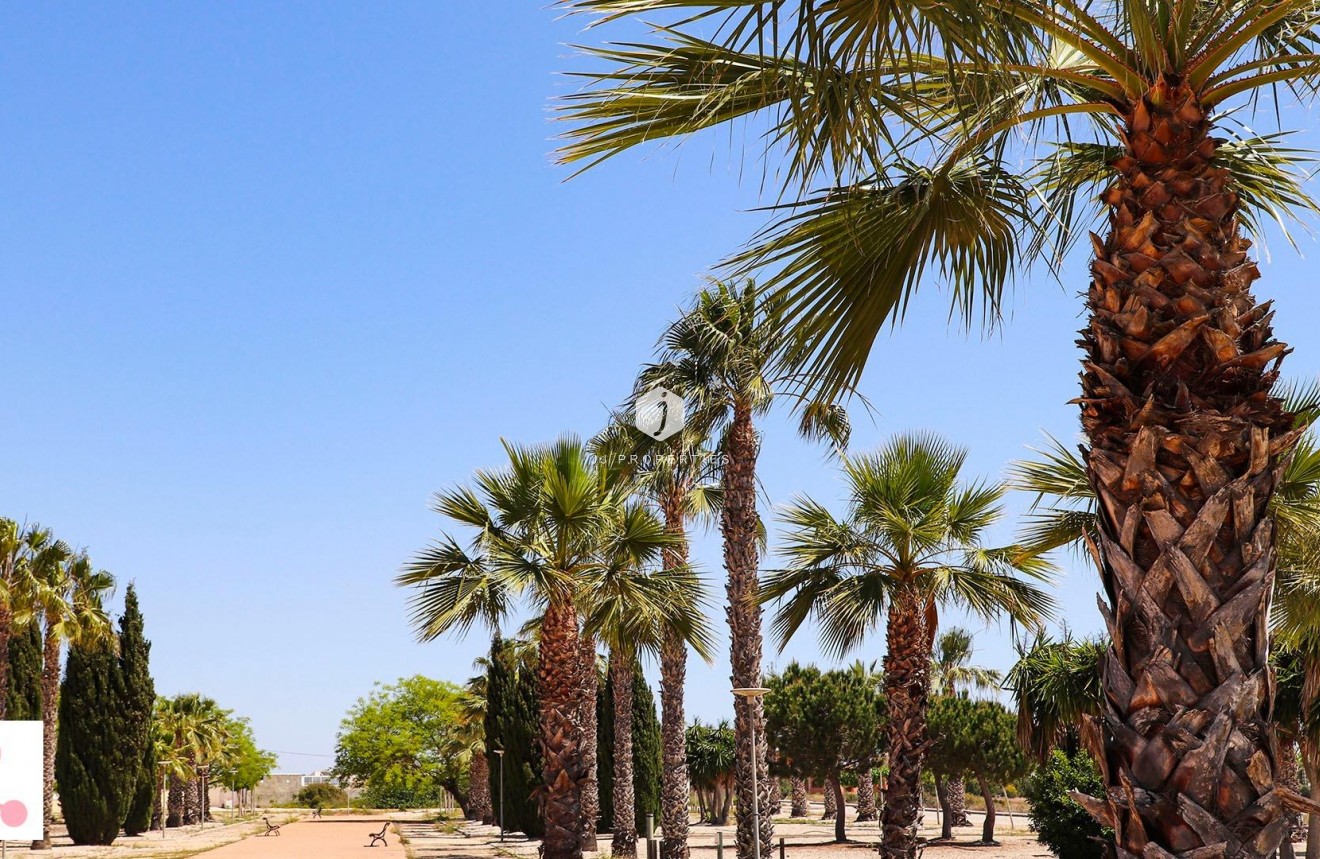 Obra nueva - Villa -
San Fulgencio - La Escuera