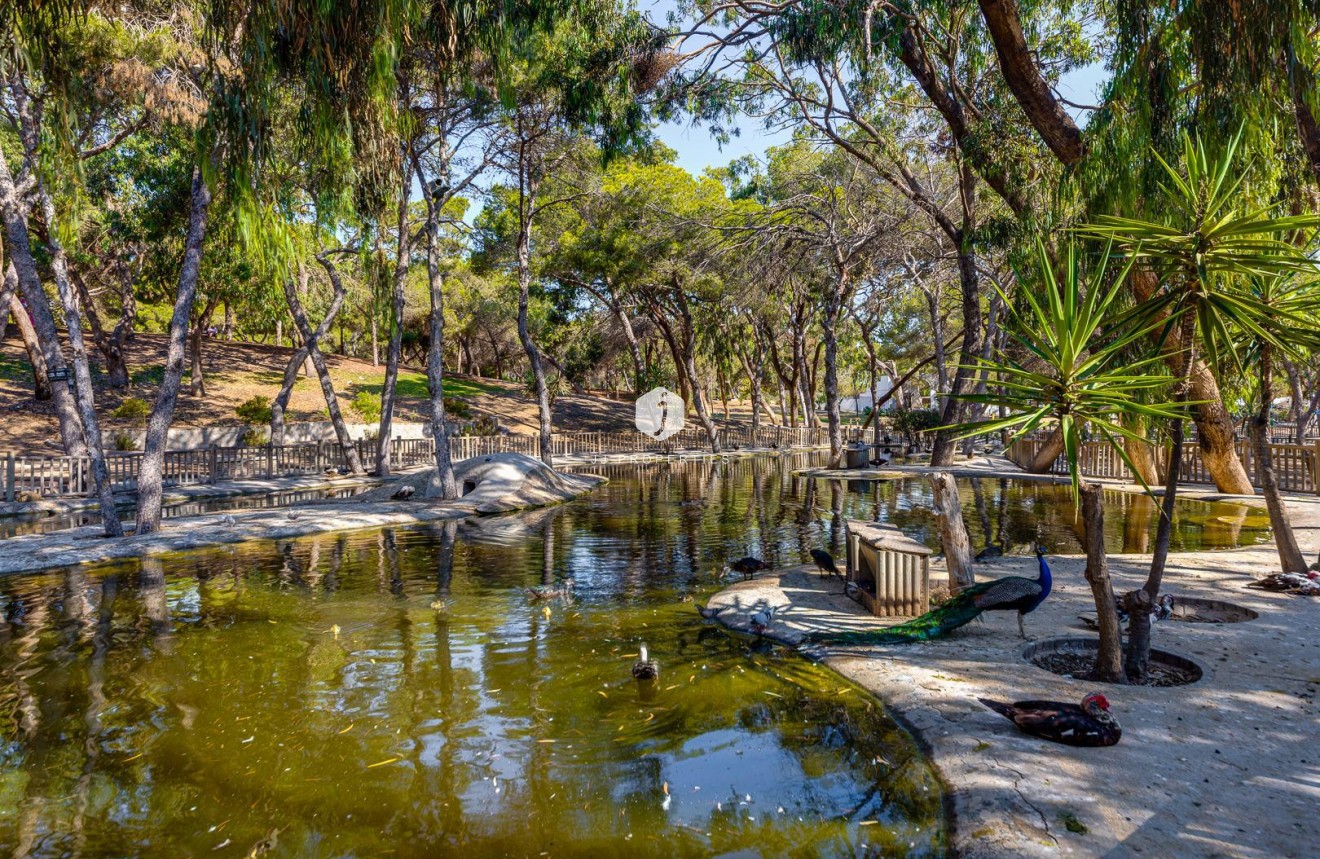 D'occasion - Appartement -
Guardamar del Segura - Costa Blanca