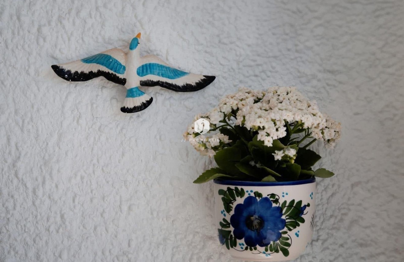 Segunda mano - Chalet -
Cabo Cervera - Costa Blanca