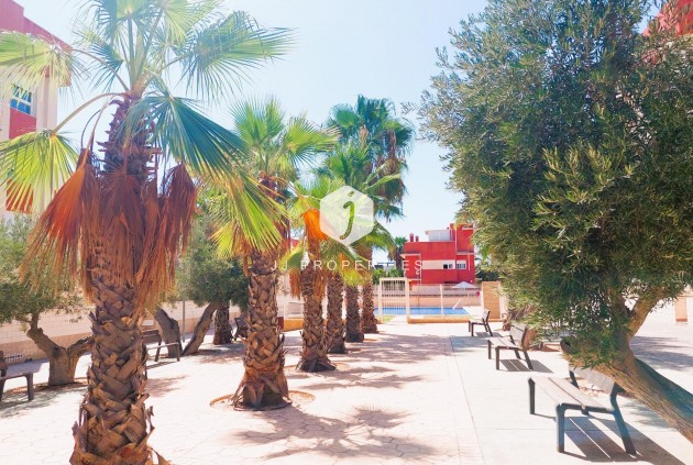 Segunda mano - Ático -
Orihuela Costa - Costa Blanca