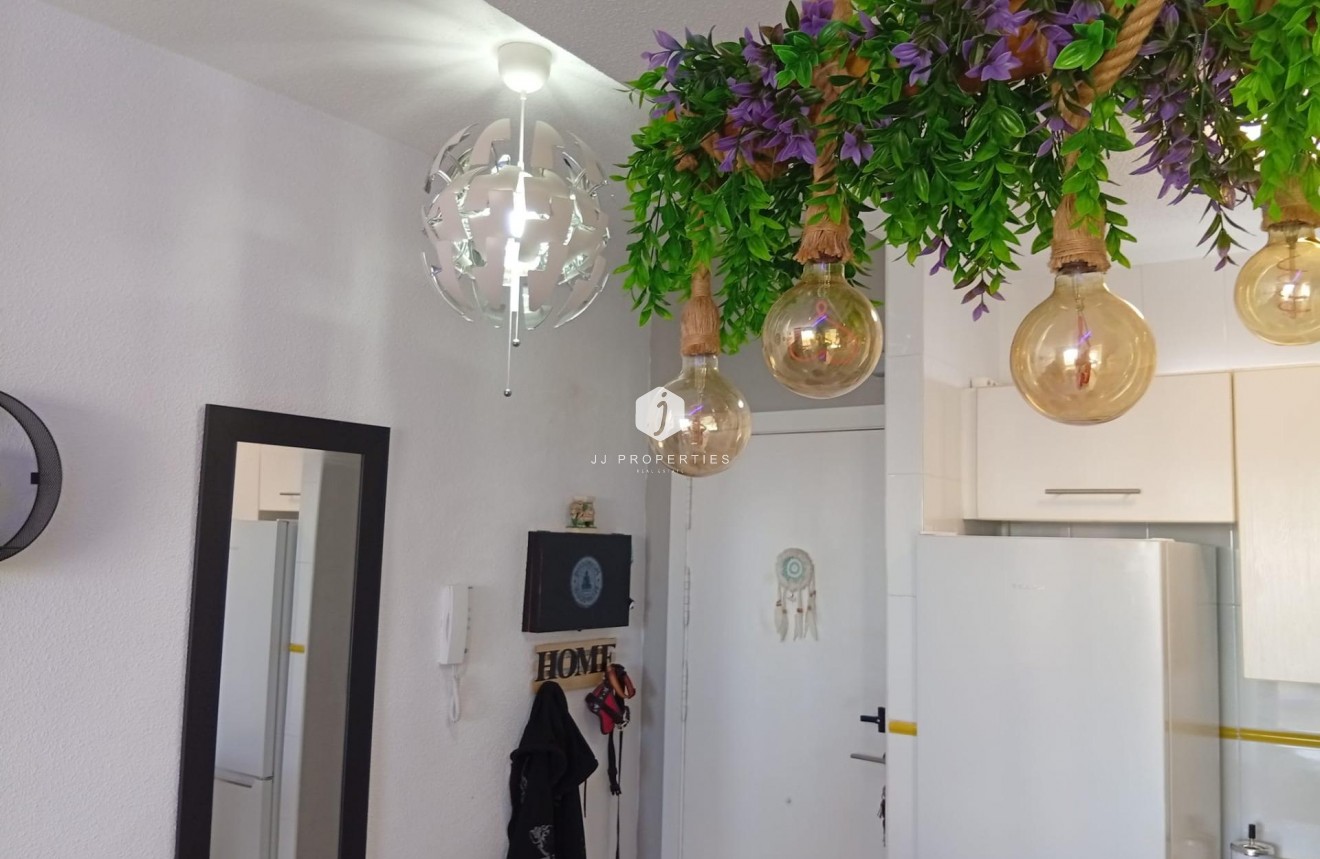 Z drugiej ręki - Daszek -
Torrevieja