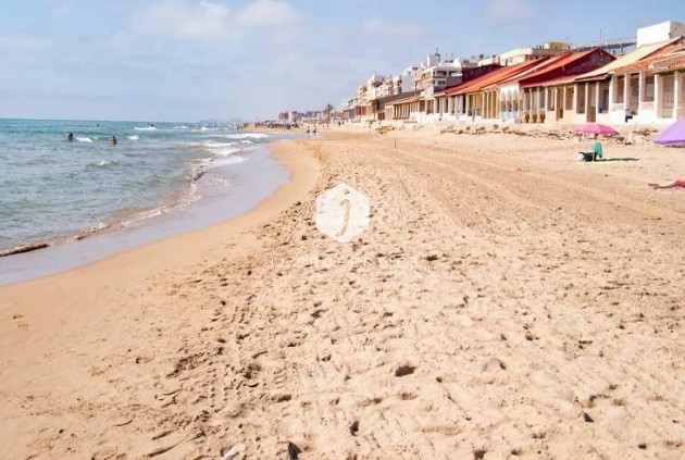 Nouvelle construction - Attique -
Guardamar del Segura - Pueblo