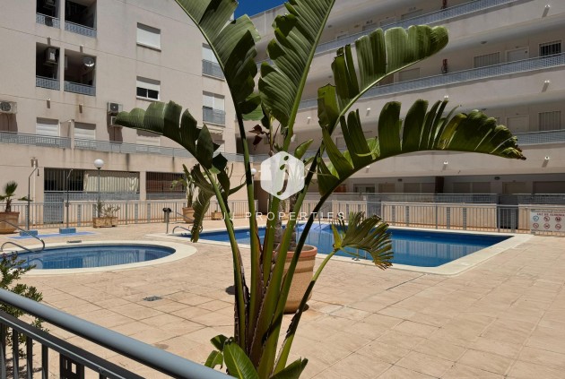 D'occasion - Appartement -
Almoradí - Inland