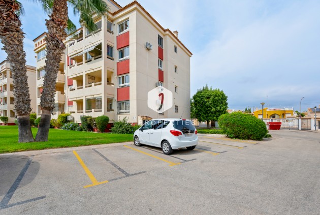 Segunda mano - Apartamento / piso -
Playa Flamenca - Costa Blanca