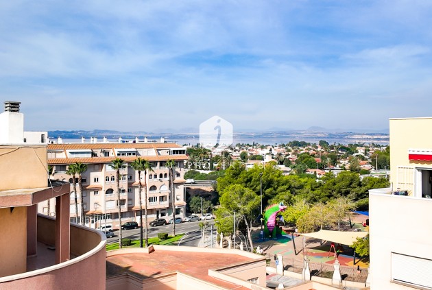 Segunda mano - Apartamento / piso -
Torrevieja - Costa Blanca