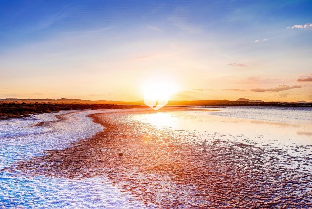 D'occasion - Chalet -
Torrevieja - La Siesta - El Salado - Torreta