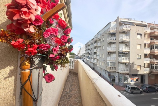 Tweedehands - Penthouse -
Torrevieja - Estacion de autobuses