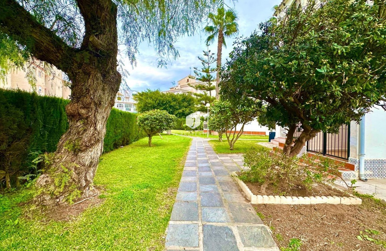 Tweedehands - Appartement / flat -
Torrevieja - Estacion de autobuses