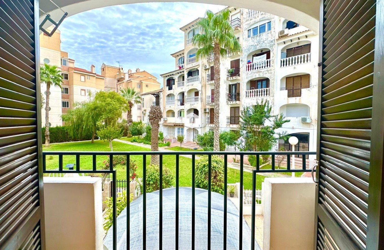 Tweedehands - Appartement / flat -
Torrevieja - Estacion de autobuses