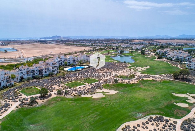 Obra nueva - Chalet -
Sucina