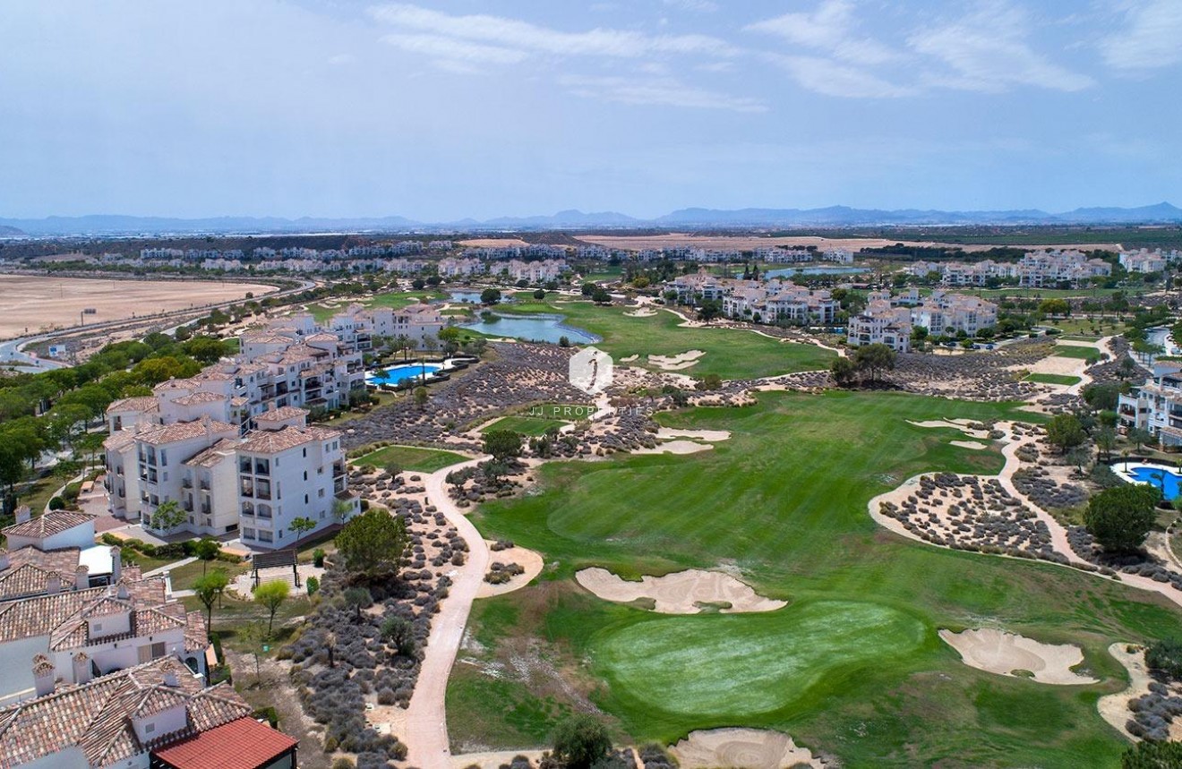 Obra nueva - Chalet -
Sucina