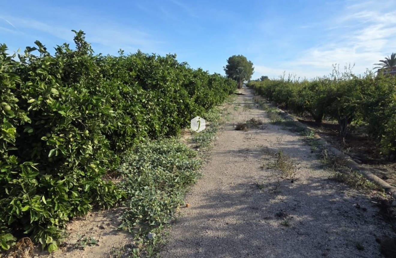 Tweedehands - Landelijk eigendom -
Albatera - Inland