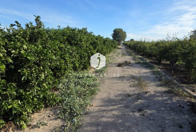 Tweedehands - Landelijk eigendom -
Albatera - Inland